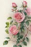 Placeholder: rose bush, many buds and flush and flowers, watercolor