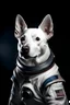 Placeholder: Portrait of a white dog with pointy ears in space wearing the US uniform