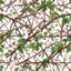Placeholder: detailed Real Tree Camouflage made of sticks, twigs, leaves, pine branches, snow and dirt, white background, seamless repeatable texture pattern imitating a natural forest background