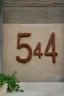 Placeholder: number 54 by eileen eigar