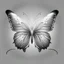 Placeholder: White Butterfly Logo