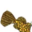 Placeholder: Generate a Mandrin Fish, Curvey, 3d Installation, Only Body and Tail, no head