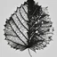 Placeholder: Leaf design