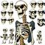 Placeholder: skeleton whit cool sunglasses, GG emotes, sprite sheet