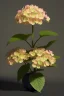 Placeholder: an isolated translucent hydrangea plant, 3d render, art nouveau style, ultra realistic, masked transparent flat background, backlight, popular on sketchfab, pixelsquid, 8k, volumetric lighting, super focused, no blur, trending on artstation, octane render, ultra detailed, hyperrealistic, by artgerm and alphonse mucha