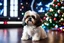 Placeholder: fluffy big eyed baby shih-tzu sith lord in the big hall in second death star with few space ships and a view to a star wars planet, and christmas tree and sith gifts, cinematic eye view