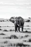 Placeholder: Black and white outlined elephant standing on grassland