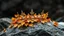 Placeholder: Golden crown with golden leaves on a wet rock,snow ,dark backround