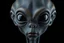 Placeholder: upper body shot of a super black skin alien, full head, 40 years old, looking at the camera, super big head, super big black eyes, small mouth, no ears, total black skin. photo real, hyperrealistic, high dynamic range, rich colors, lifelike textures, 8K UHD, high color depth. neutral dark background.