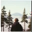 Placeholder: A polaroid photo of a group of fir trees in the background and a high hill in the distance. A lake. The surface below is in a pastel color. Person. Fog is present.
