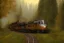 Placeholder: TRAIN WESTERNFOREST