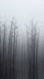 Placeholder: Field of bamboos gray trees in the swamp , dim light , foggy, sad, Bruegel painting style , cloudy, atmosphere,