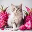 Placeholder: A cat surrounded by dragon fruits on a light background for removal