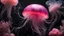 Placeholder: photo RAW, (Black and pink : a ghostly jellyfish, shiny aura, highly detailed, gold filigree, intricate motifs, organic tracery, by Android jones, Januz Miralles, Hikari Shimoda, glowing stardust by W. Zelmer, perfect composition, smooth, sharp focus, sparkling particles, lively coral reef background Realistic, realism, hd, 35mm photograph, 8k), masterpiece, award winning photography, natural light, perfect composition, high detail, hyper realistic