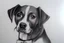 Placeholder: Dog art drawing full