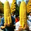 Placeholder: beijing corn meme