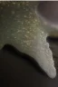 Placeholder: a close up concave imprint of a Yoda's footprint, imprinted within the sand inside of a glass box filled half way with sand, it's a big footprint with 3 toes, surrounded by shiny river stones,leaves and a walking stick, outside on the glass is a metal nameplate with "Yoda" written on it