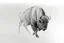 Placeholder: Bison walking towards viewer's right, on white background, fades out on the left