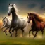 Placeholder: horse herd full body field background