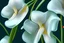 Placeholder: many small flower o'keeffe, organic, free, light, damp, wavy, blue background