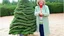 Placeholder: martha stewart looks like a tree