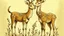 Placeholder: a whimsical illustration of 2 deer, a female deer on the left with body facing left but is looking back to the right, while on the right is a male deer facing left with a look of mild excitement while he glancing at the other's butt, both have upward tails