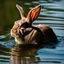 Placeholder: Amphibious Rabbit