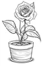 Placeholder: single rose flower in pot coloring pages