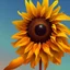 Placeholder: Stylized sunflower