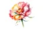 Placeholder: A single carnation flower in the style of watercolor pseudo, white background--ar 9:16