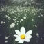 Placeholder: single long stem white flower in a field, polaroid, tender, soft focus, award winning landscape photography, nature photography, r/mostbeautiful