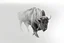 Placeholder: Bison walking towards viewer's right, on white background, fades out on the left