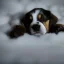 Placeholder: puppy sleep on the cloud in the moonlight