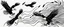 Placeholder: energetic lines blowing across the composition, eagle chasing smaller birds on the right, a few feathers trailed behind, vector black on white