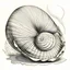 Placeholder: sketch of shell