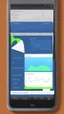 Placeholder: create a User Friendly mobile application Interface for a trading platform, Use element like candlestick, charts etc, behance, pintrest