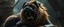 Placeholder: sauron pug lion panther