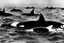 Placeholder: An orca army pod fighting in WW2 trenches