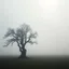 Placeholder: Award-winning fine art landscape photography of an ancient solitary tree standing in the middle of a vast mist-covered field, soft morning fog, minimalistic composition, atmospheric light rays piercing through the mist, emotional storytelling, extraordinary tonal range, captured with a medium format camera, gallery-quality fine art photography, ultra realistic, masterpiece, 64 k