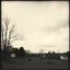 Placeholder: A landscape, odd black and white old photo, dystopic atmosphere, trees, some odd houses, George Grosz