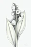 Placeholder: lily of the valley drawing