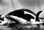 Placeholder: An orca army pod fighting in WW2, swimming up a stream to attack, orca insurgents