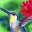 Placeholder: hummingbird watercolor