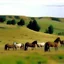 Placeholder: Nebraska 1997 Wild Horse Hill Photo