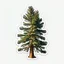 Placeholder: sticker of a spruce tree