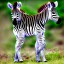 Placeholder: cute baby zebra