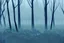 Placeholder: Abstract silver forest, rough sketch, blue sky