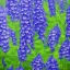 Placeholder: a highly detailed oil painting of Delphinium, 4 k resolution, 8 k resolution, high resolution, surface design pattern, Afrofuturism