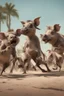 Placeholder: Close-up animation of a mischievous group of wild warthogs wearing sunglasses and attempting to breakdance in a comical fashion.