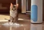 Placeholder: Cute tabby kitten sniffing ice water spilling from a thermos in a kitchen in the sunshine. Ice cubes and snowflakes.